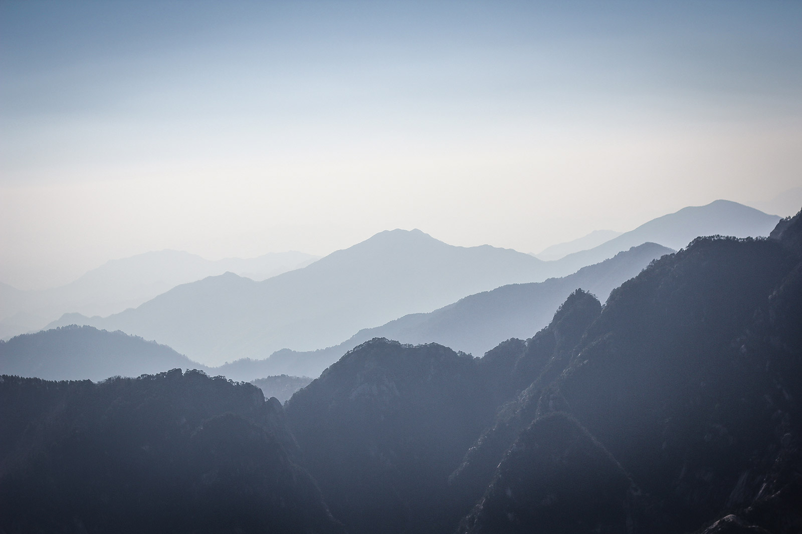 Catalyst Coaching 360 - Mountain View